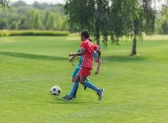 挑战升级,恩瓦内里为,阿森纳席位,开云体育,开云体育,KaiYun,Sports,开云体育官网